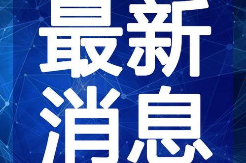 浩南训练营爆料视频最新,揭秘训练营幕后真相与明星学员成长历程  第2张